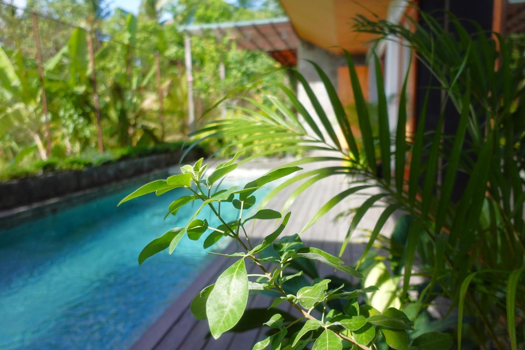 The Vinaya Boutique Hotel อูบุด ภายนอก รูปภาพ